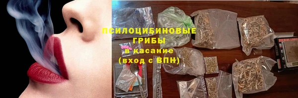 шишки Алексин