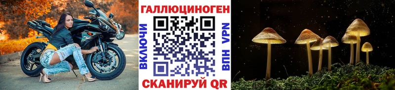 Псилоцибиновые грибы Psilocybe  Баймак 